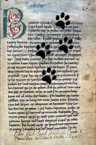 The first page of the Peterborough Chronicle, ca CE 1150. (Paw prints courtesy of Steve Halls, clker.com)